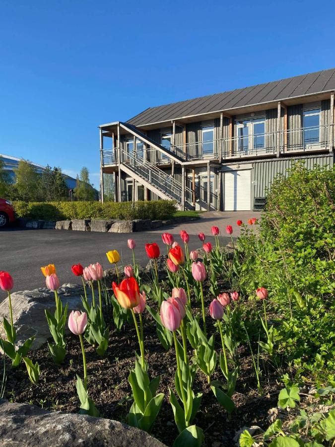 Vikingskipet Hostel Hamar (Hedmark)